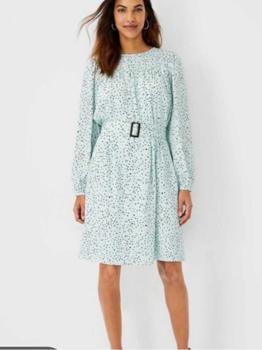 Ann Taylor Mint Blue Floral Long-Sleeve Belted Dress
